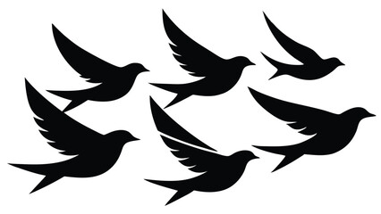 Silhouettes of Birds flock flying