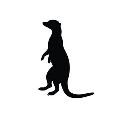 Standing Meerkat Alert Curious Silhouette Vector
