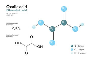 Oxalic Acid. Structural Chemical Formula and 3d Model of Molecule. C2H2O4. Atoms with Color Coding. Vector graphic Illustration for educational materials, scientific articles, and presentations