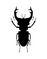 Stag beetle. Vector illustration in black. Silhouette. Isolate. Flat style. Tattoo. Drawing of an insect.