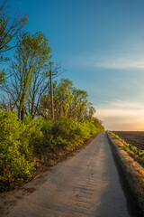 Peaceful Green Field with Soft Light and a Clear Horizon