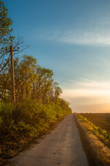 Expansive Green Landscape with Rolling Hills and Blue Sky