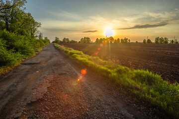 Sunlit Grassland Stretching to the Horizon with a Natural Path
