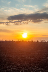 Vast Plowed Field Under Blue Sky with Distant Tree Line