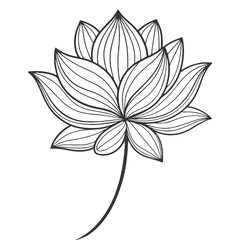Intricate Black and White Lotus Flower Line Art Illustration