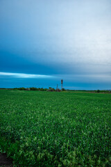 Green Crops Stretching Towards a Horizon with a Water Tower