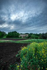 Rustic Farmhouse Beside Plowed Fields and Blooming Canola Under Overcast Sky