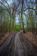 Fields and train around the forest , landscape photography with train and power electricity lines ,woods ner the reailway road 
