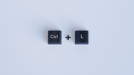 Ctrl + L Keyboard Shortcut for Address Bar Focus and Text Alignment