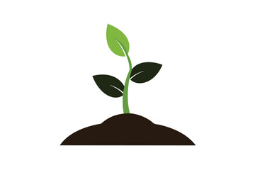 green plant growing from soil