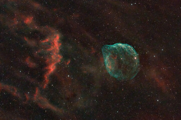 Fototapeta premium The Dolphin Head Nebula (SH2-308)