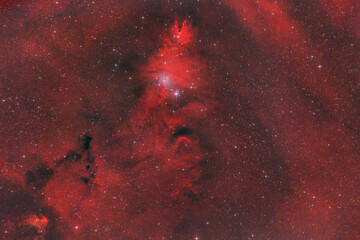 Fototapeta premium Cone Nebula, and the Christmas Tree Cluster