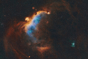 Seagull Nebula (IC2177) and Thor's Helmet Nebula (NGC2359)