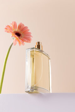 Minimalist style perfume bottle and pink flower