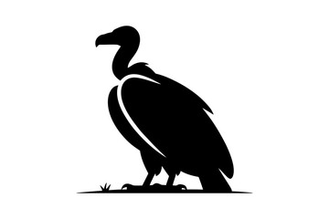 Vulture silhouette carrion bird scavenger animal