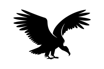Vulture silhouette flying bird scavenger animal