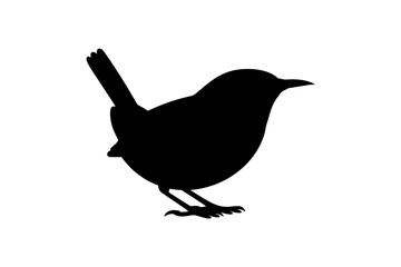Silhouette of a small wren bird perched standing