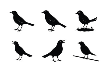 Blackbird silhouette bundle  illustration, Blackbird silhouette  vector 