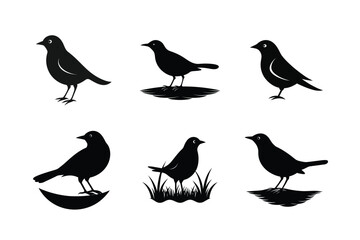 Blackbird silhouette bundle  illustration, Blackbird silhouette  vector 