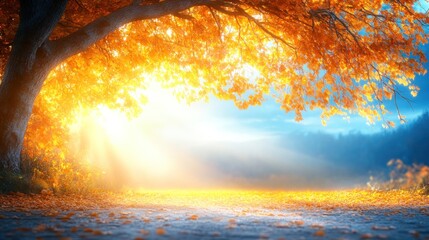Autumnal Landscape: Golden Leaves Under Sunlight, Magical Forest Background