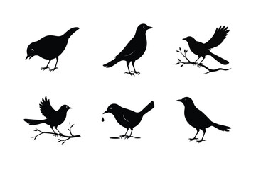 Blackbird silhouette bundle  illustration, Blackbird silhouette  vector 