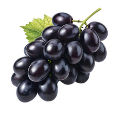 Fototapeta premium Bunch of ripe black and red grapes isolated on white background with leaves and vine