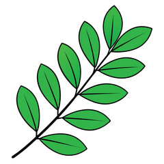 leaves on a white background
