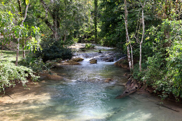 landsape Agua Azul waterfalls, tropical forest, Chiapas, Mexico
