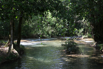 landsape Agua Azul waterfalls, tropical forest, Chiapas, Mexico