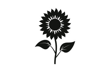 sunflower vector illustration