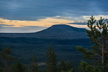 Visitors admire the breathtaking summer evening view on the Städjan mountain top, overlooking boreal forest in Idre, Dalarna, Sweden, amidst lush greenery and evening colors