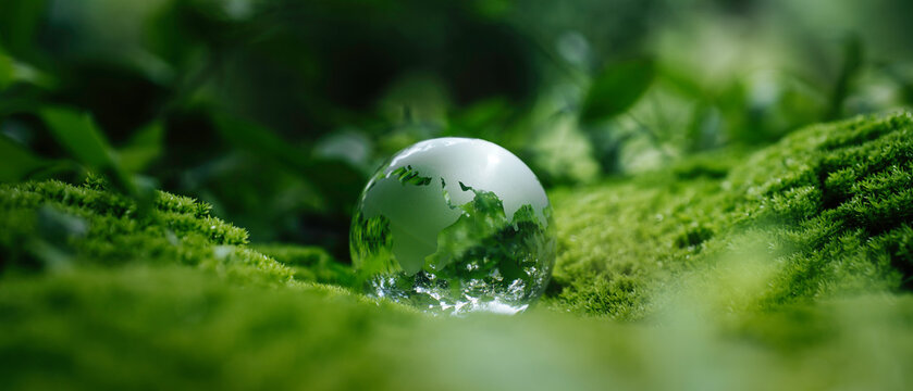 Crystal globe glass on green moss in forest to protect nature Save and care World for sustainable. concept of the environment ecology and Earth Day. Eco environment, Net zero and ESG concept.