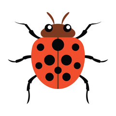 Cartoon Ladybug