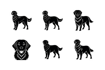 Golden Retriever Dog Breed Illustration