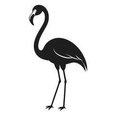 Obraz premium Stork bird
