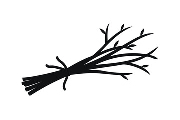 branch of a tree with a leaf