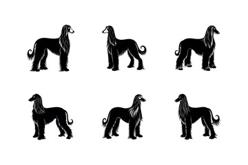 Afghan Hound Breed Silhouette Art