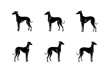 Azawakh Dog Breed Outline Graphic
