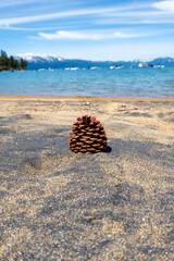 Pinecone on Sandy Beach with Lake Tahoe Backdrop

