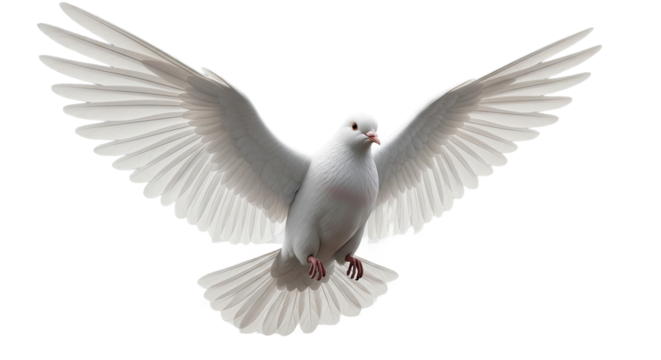 High-quality 3D render of a white dove in graceful flight, isolated on a transparent PNG background. Symbol of peace, hope, or purity. Art scale.