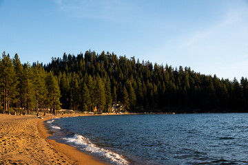 Lake Tahoe Shoreline Where Sandy Beach Meets Forest At Golden Hour