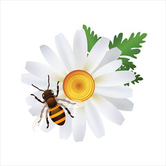 Honey bees perched on flower pollen