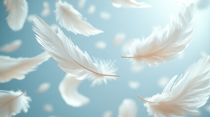 White feathers floating in light