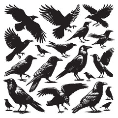 set of crow silhouettes with flying wings, a wildlife vector illustration of a bird symbol