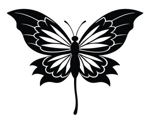 Butterfly Landing on a Flower