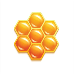 Honeycomb isolated on white background