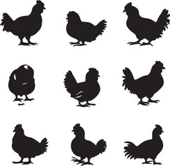 Chicken Silhouettes: Vector Graphic Set of Farm Animal Illustrations for Poultry Farming, Agriculture, and Rustic Design Projects