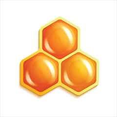 Honeycomb isolated on white background