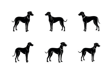 Plott Hound Breed Dog Illustration