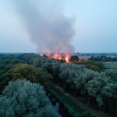 A distant wildfire burns fiercely through a forest landscape under a smoky sky, creating an environmental threat and potential natural disaster for the region.